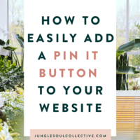 How to Easily Add a Pin It Button to Your Website