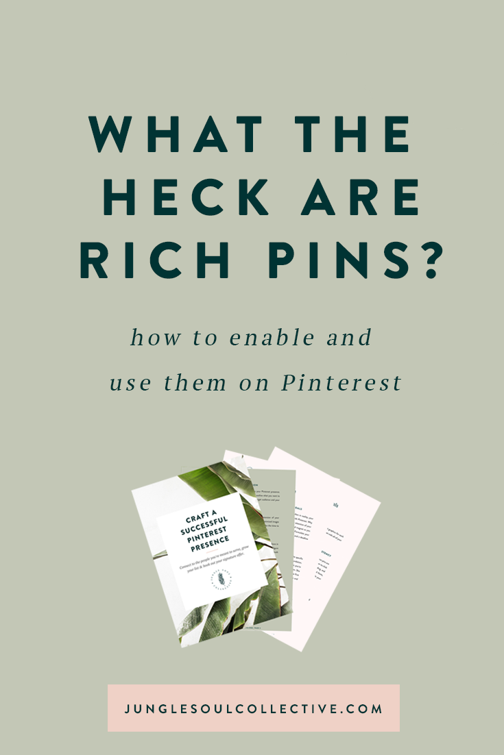 What the Heck Are Rich Pins?