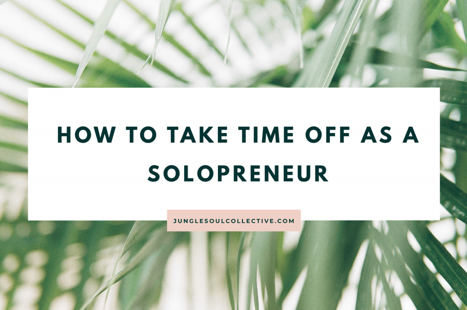 Solopreneur Solopreneur